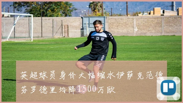 英超球员身价大幅缩水伊萨克范德芬罗德里均降1500万欧